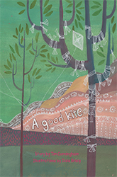 A Good Kite book cover